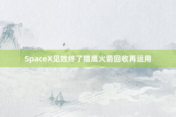 SpaceX见效终了猎鹰火箭回收再运用